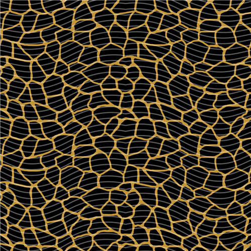 holographic Big- 448